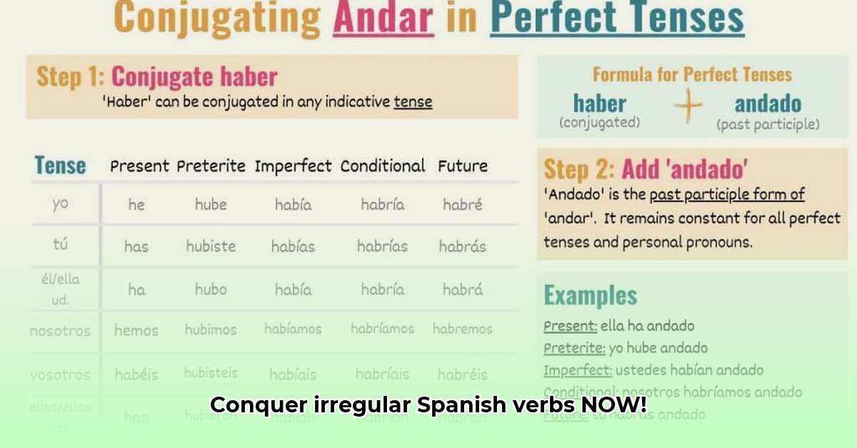 learn-spanish-preterite-tense-andar